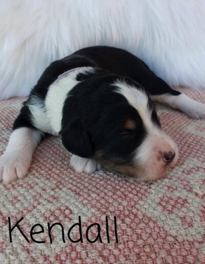 Kendall: 1 week